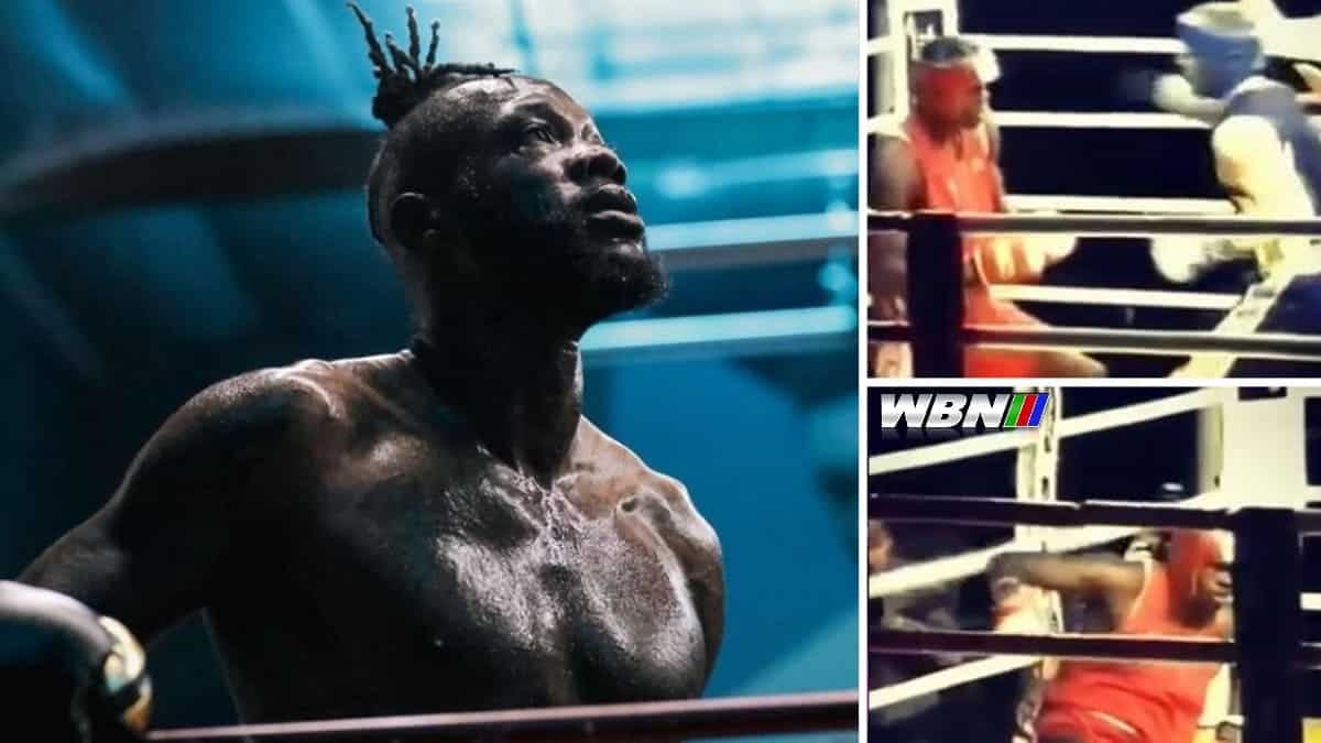 Deontay Wilder Knocked out