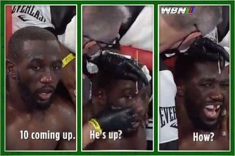 Terence Crawford down knockout
