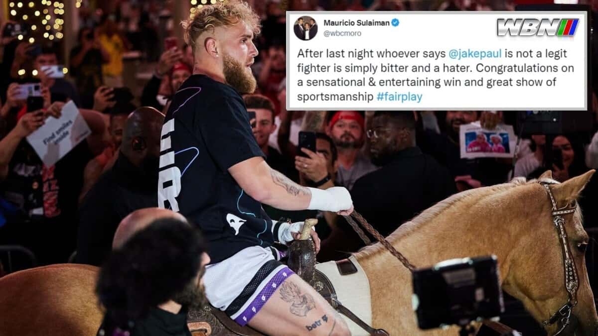 Jake Paul on a horse Mauricio Sulaiman WBC President quote