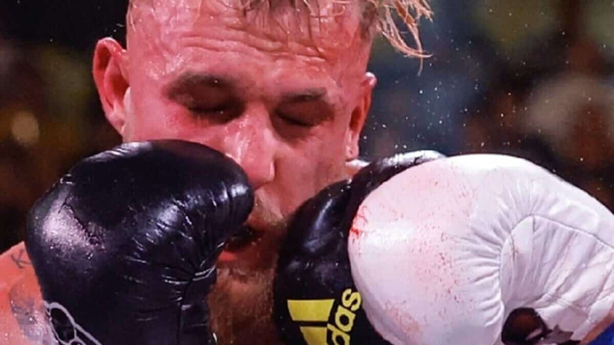 Jake Paul gets punched in the face