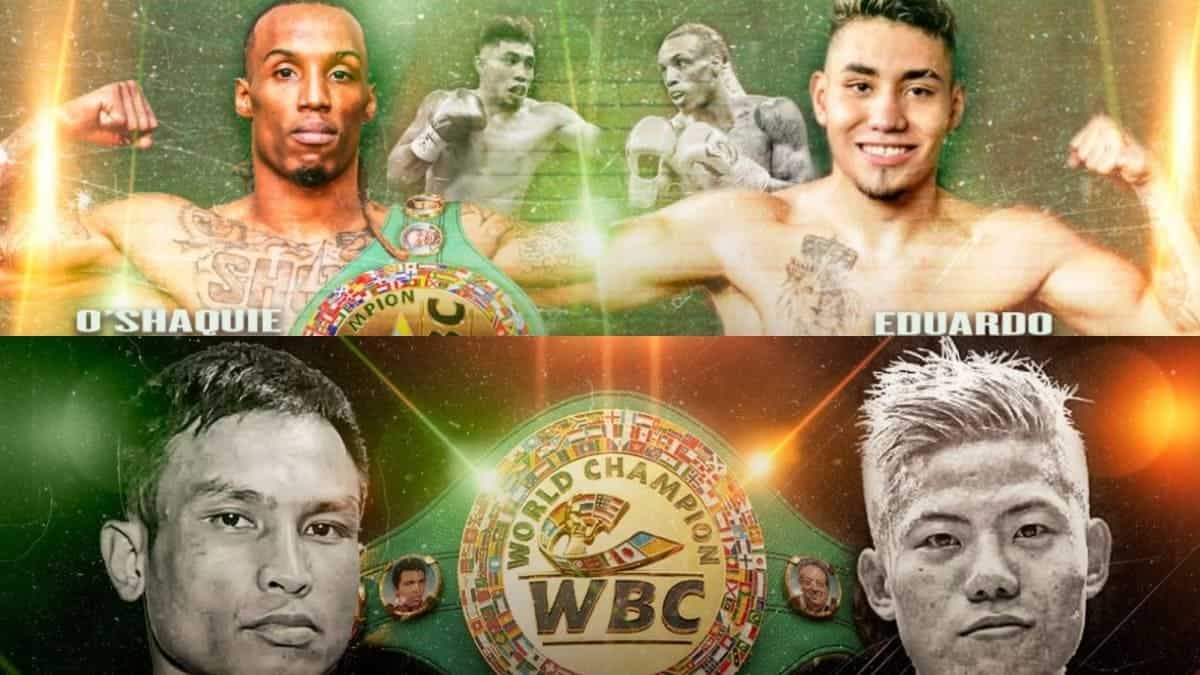 World Boxing Council title fights