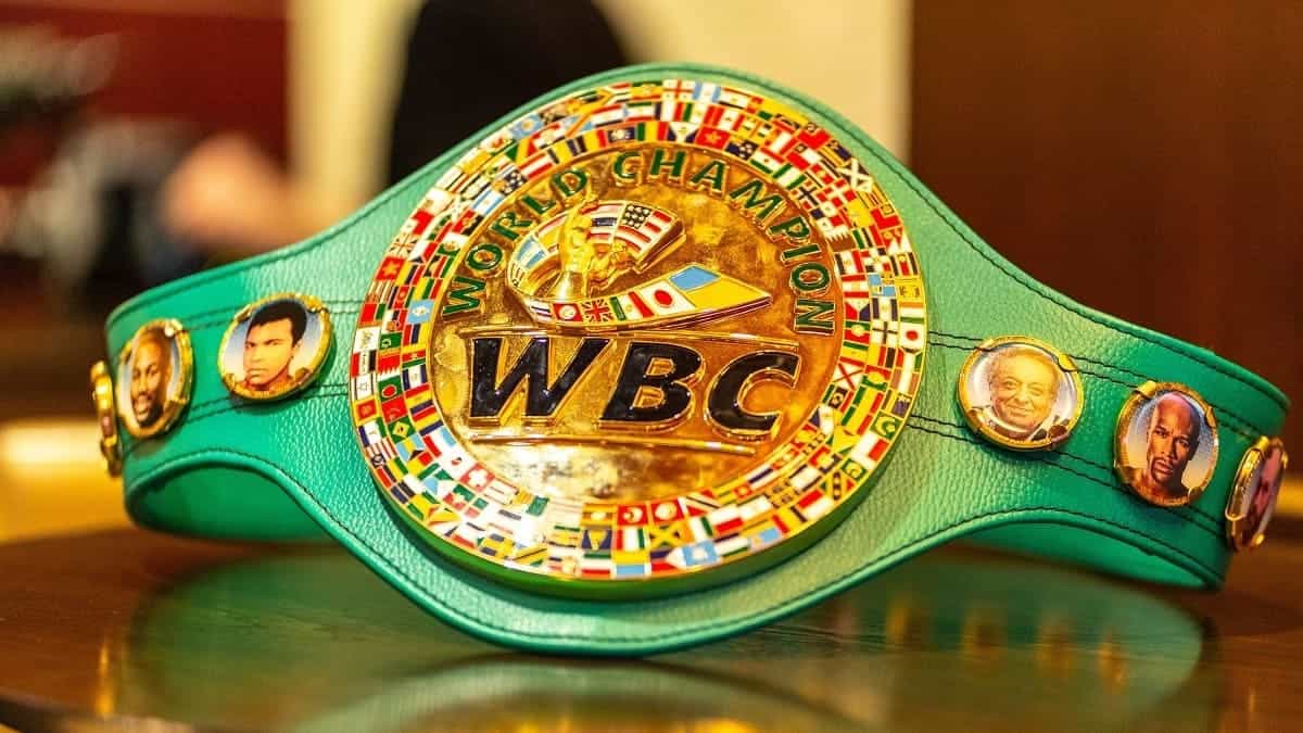 WBC bridgerweight title by the World Boxing Council