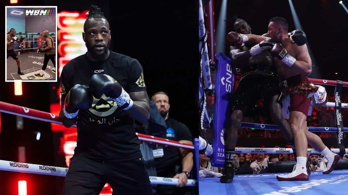 Deontay Wilder training and defeat